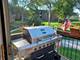 1132 E Randville Unit 2F, Palatine, IL 60074