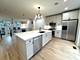 1107 N Wolcott, Chicago, IL 60622