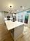 1107 N Wolcott, Chicago, IL 60622