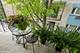 1125 W Lunt Unit 303, Chicago, IL 60626