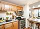 3041 S Michigan Unit 511, Chicago, IL 60616