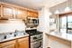 3041 S Michigan Unit 511, Chicago, IL 60616