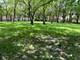 2121 E 72nd, Chicago, IL 60649