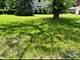 2121 E 72nd, Chicago, IL 60649