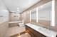 680 N Lake Shore Unit 519, Chicago, IL 60611