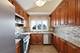 304 University Unit A, Elk Grove Village, IL 60007
