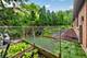 21 S Elmhurst, Prospect Heights, IL 60070