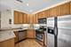 1124 Lake Unit 503, Oak Park, IL 60301