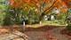 1145 Peregrine, Palatine, IL 60067