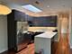 4003 S Calumet Unit 3, Chicago, IL 60653