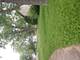1029 Ashridge, University Park, IL 60466