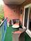6701 N Milwaukee Unit 303, Niles, IL 60714