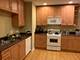 7406 N Damen Unit 2, Chicago, IL 60645