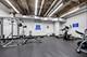 20 N State Unit 1013, Chicago, IL 60602