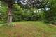 18156 W Timber, Grayslake, IL 60030
