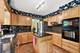 1411 W Allison, Arlington Heights, IL 60005