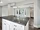 9138 S Carpenter, Chicago, IL 60620