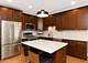 1517 W Adams Unit 3, Chicago, IL 60607