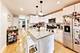 2245 W Melrose, Chicago, IL 60618