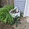 700 Larkdale Row, Wauconda, IL 60084