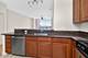 1600 S Prairie Unit 2106, Chicago, IL 60616