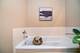 13161 S Carlisle, Plainfield, IL 60544