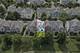1103 Bartholdi, Carol Stream, IL 60188