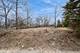 911 Johnson, Fox River Grove, IL 60021