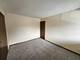 1 Stony Creek Unit 1B, Palos Hills, IL 60465
