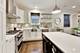 1019 N Honore Unit 1, Chicago, IL 60622
