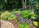 830 Buckingham, Crystal Lake, IL 60014