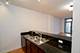 100 E 14th Unit 1808, Chicago, IL 60605