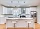 923 N Massasoit, Chicago, IL 60651