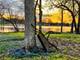 4909 Wildwood, Mchenry, IL 60051