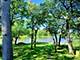 4909 Wildwood, Mchenry, IL 60051