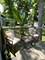 4909 Wildwood, Mchenry, IL 60051