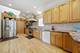 6710 W Forest Preserve, Harwood Heights, IL 60706
