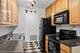 1833 Four Lakes Unit 3M, Lisle, IL 60532