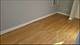 1025 W Cullerton Unit 2R, Chicago, IL 60608