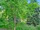 290 Loveland, Glendale Heights, IL 60139