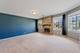 1371 E Braymore, Naperville, IL 60564