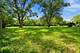 20258 Crawford, Matteson, IL 60443