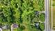 20258 Crawford, Matteson, IL 60443