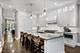 1306 W Byron, Chicago, IL 60613