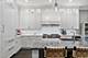 1306 W Byron, Chicago, IL 60613