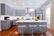3967 S Drexel, Chicago, IL 60653