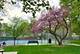 8144 Keystone, Skokie, IL 60076