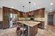 16820 W Serranda, Libertyville, IL 60048