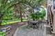 1259 Abbey Oaks, Lemont, IL 60439
