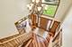 1259 Abbey Oaks, Lemont, IL 60439